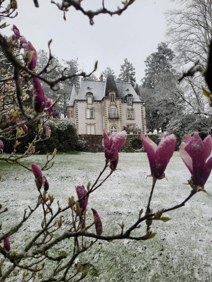 Chateau Maleplane Bed and Breakfast Saint-Léonard-de-Noblat Esterno foto