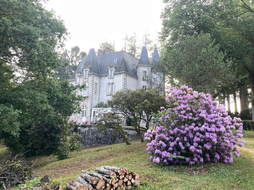 Chateau Maleplane Bed and Breakfast Saint-Léonard-de-Noblat Esterno foto