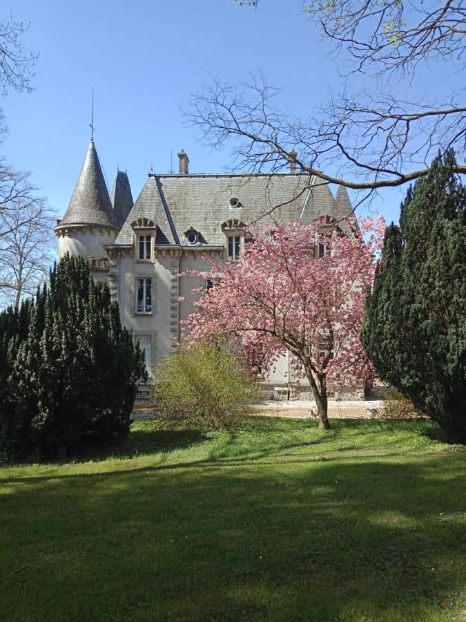 Chateau Maleplane Bed and Breakfast Saint-Léonard-de-Noblat Esterno foto