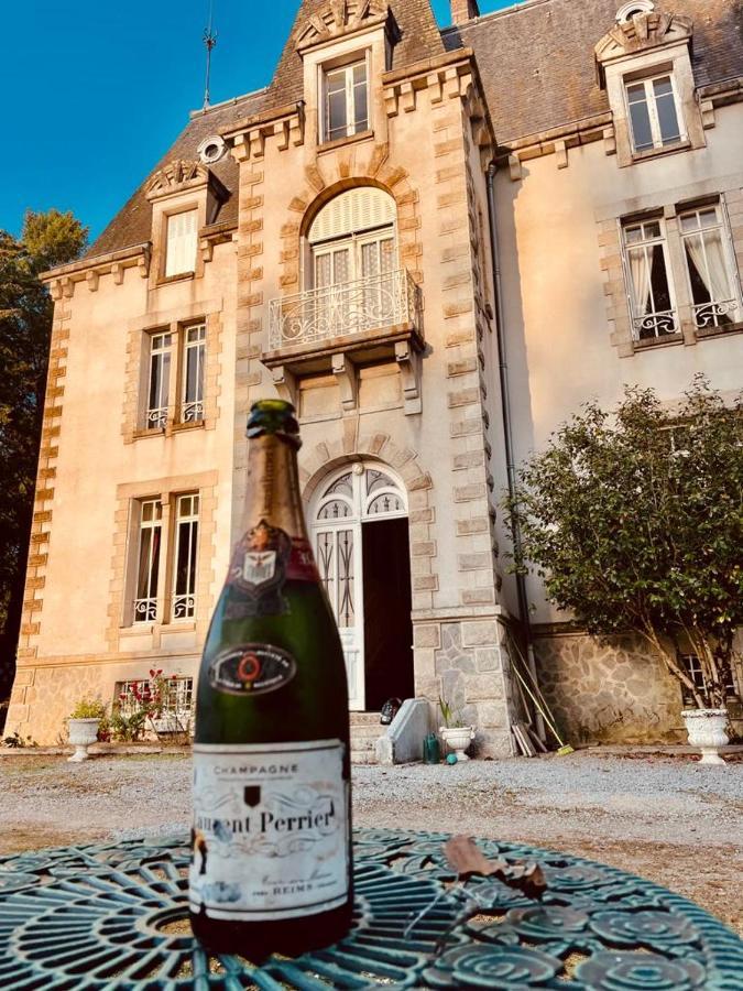 Chateau Maleplane Bed and Breakfast Saint-Léonard-de-Noblat Esterno foto