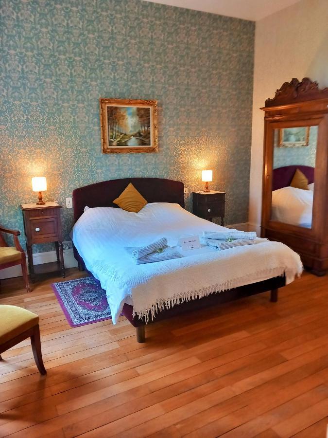Chateau Maleplane Bed and Breakfast Saint-Léonard-de-Noblat Esterno foto