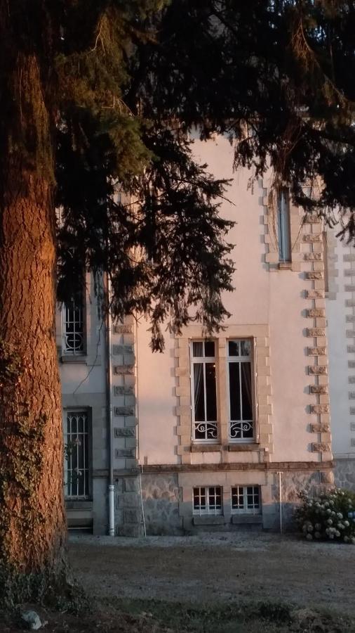Chateau Maleplane Bed and Breakfast Saint-Léonard-de-Noblat Esterno foto