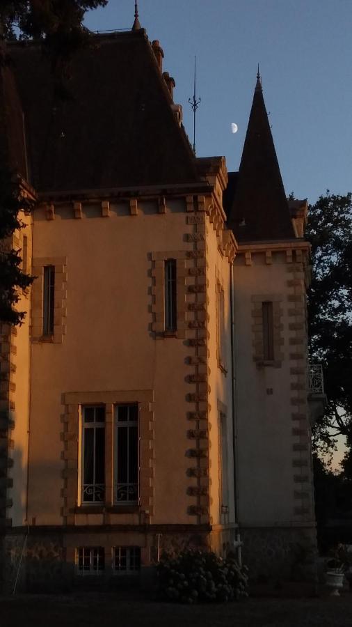 Chateau Maleplane Bed and Breakfast Saint-Léonard-de-Noblat Esterno foto