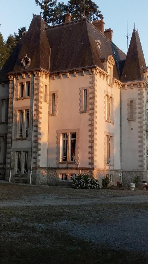 Chateau Maleplane Bed and Breakfast Saint-Léonard-de-Noblat Esterno foto