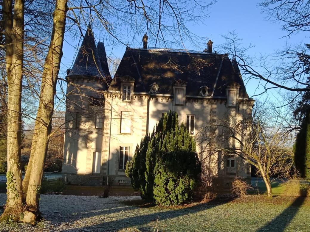 Chateau Maleplane Bed and Breakfast Saint-Léonard-de-Noblat Esterno foto