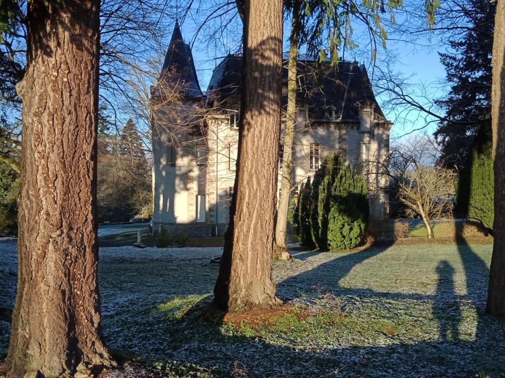 Chateau Maleplane Bed and Breakfast Saint-Léonard-de-Noblat Esterno foto
